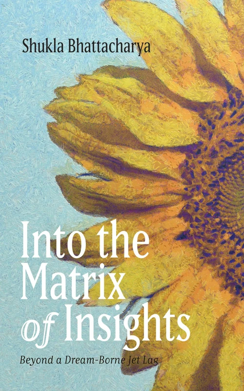 Cover of Into the Matrix of Insights