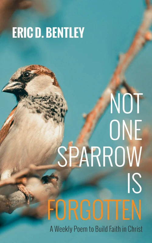 Cover of Not One Sparrow Is Forgotten