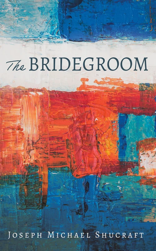 Cover of The Bridegroom