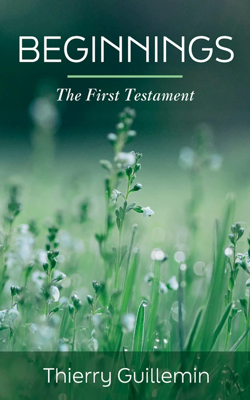 Cover of Beginnings