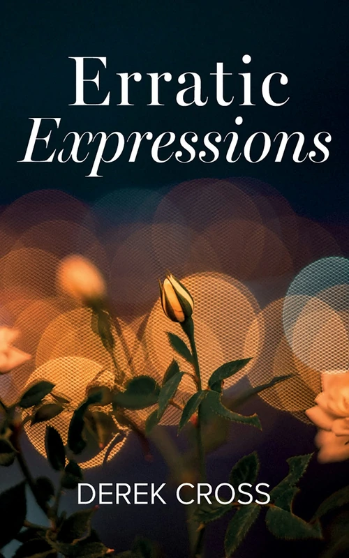 Cover of Erratic Expressions