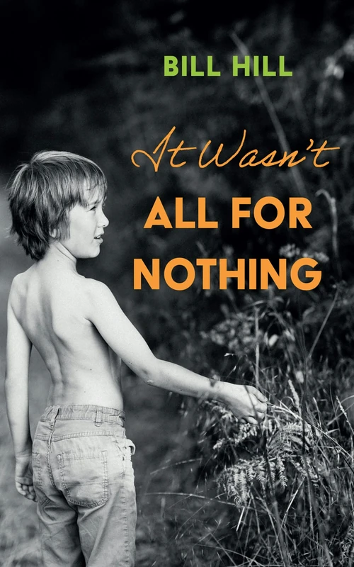 Cover of It Wasn’t All for Nothing