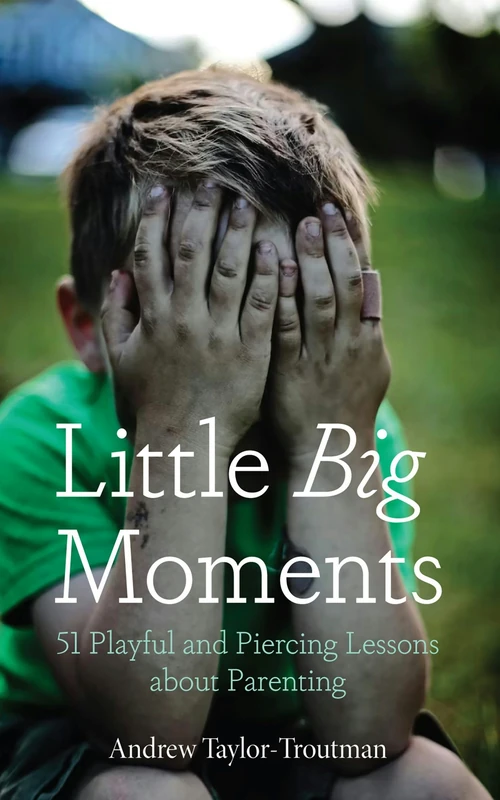 Cover of Little Big Moments
