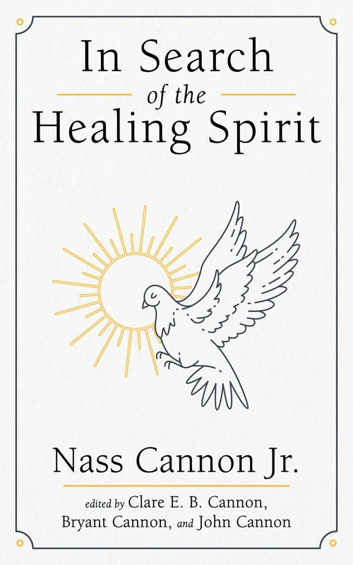 Cover of In Search of the Healing Spirit