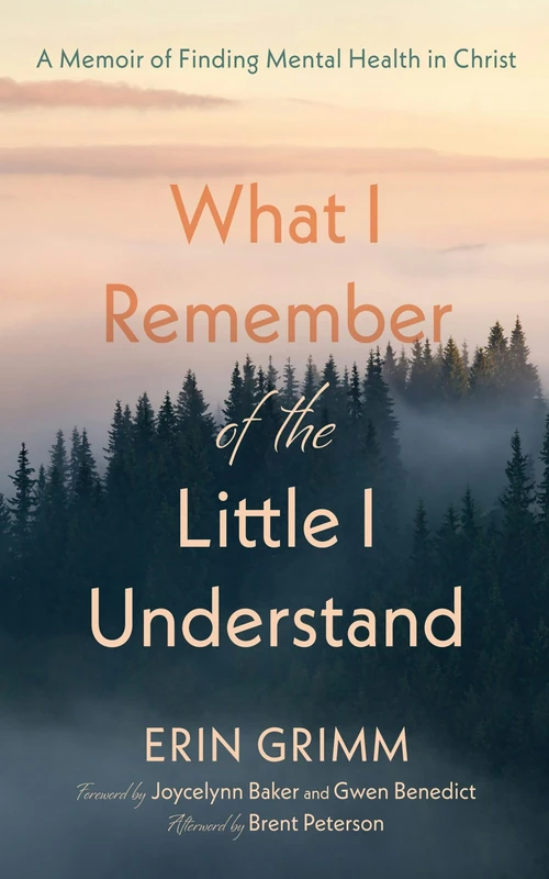 Cover of What I Remember of the Little I Understand