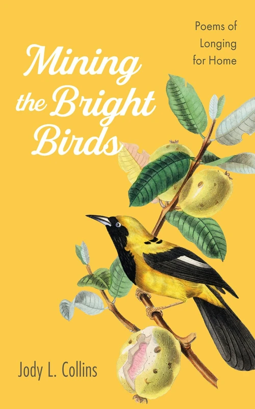 Cover of Mining the Bright Birds