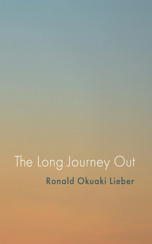 Cover of The Long Journey Out