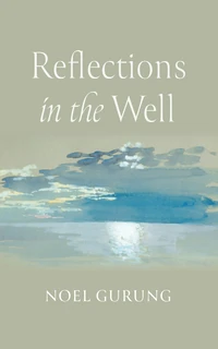 Cover of Reflections in the Well