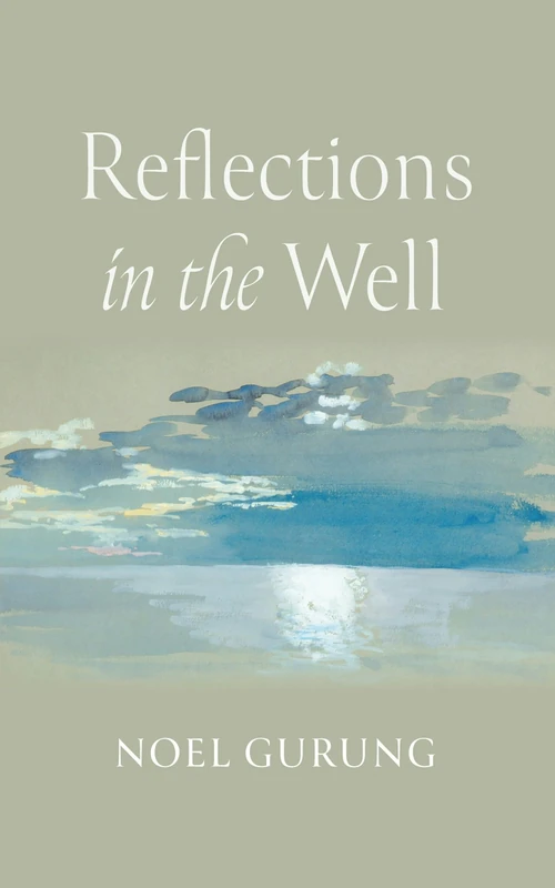 Cover of Reflections in the Well