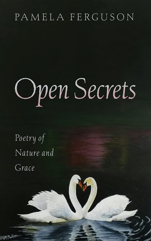 Cover of Open Secrets