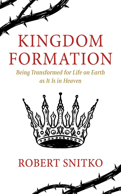 Cover of Kingdom Formation