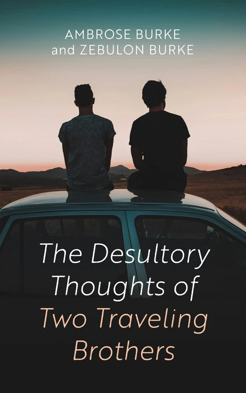 Cover of The Desultory Thoughts of Two Traveling Brothers