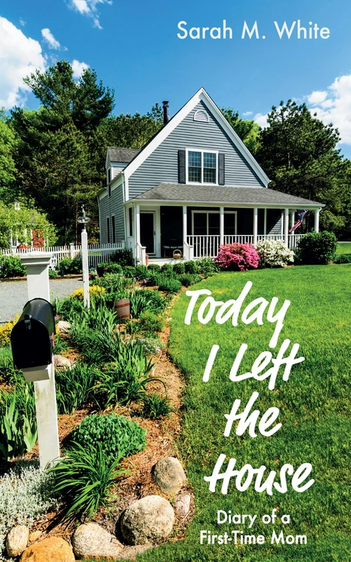 Cover of Today I Left the House