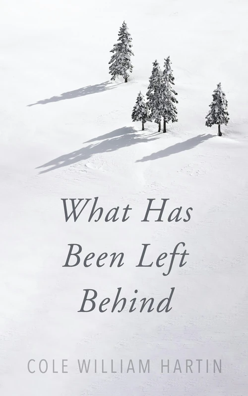 Cover of What Has Been Left Behind