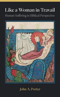 Cover of Like a Woman in Travail