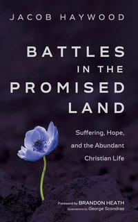 Cover of Battles in the Promised Land