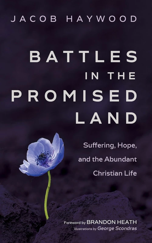 Cover of Battles in the Promised Land