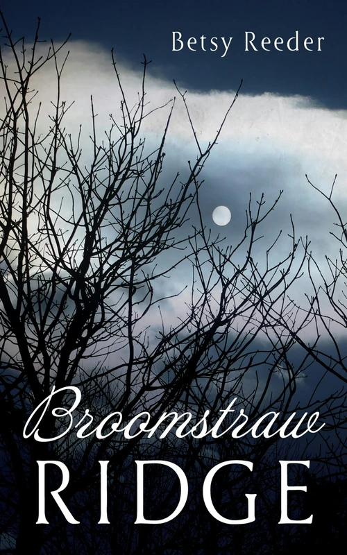 Cover of Broomstraw Ridge
