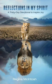 Cover of Reflections in My Spirit