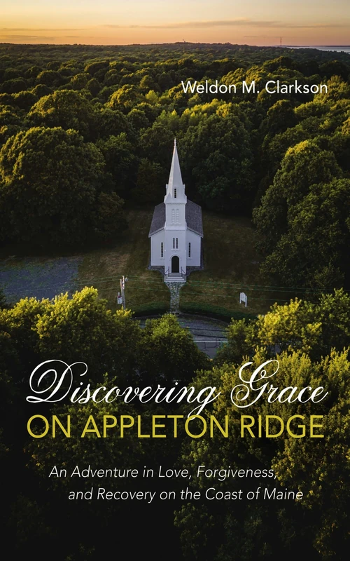 Cover of Discovering Grace on Appleton Ridge