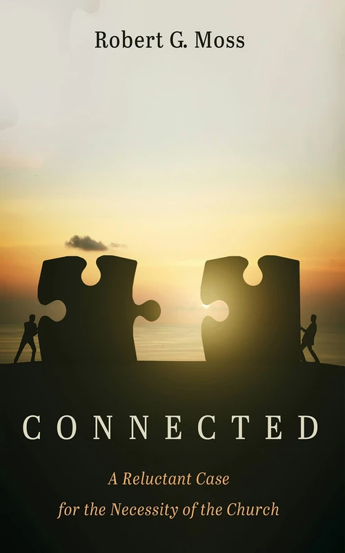 Cover of Connected