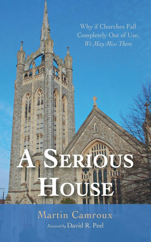 Cover of A Serious House