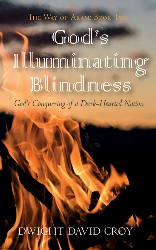 Cover of God’s Illuminating Blindness