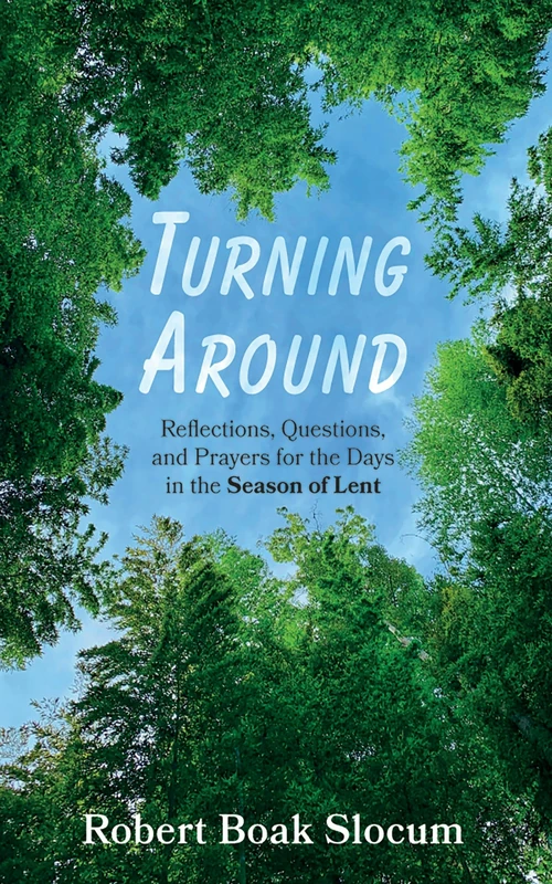 Cover of Turning Around