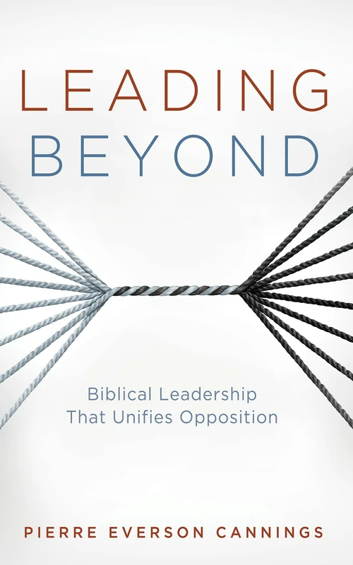 Cover of Leading Beyond