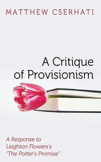 Cover of A Critique of Provisionism