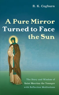 Cover of A Pure Mirror Turned to Face the Sun