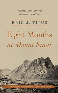 Cover of Eight Months at Mount Sinai