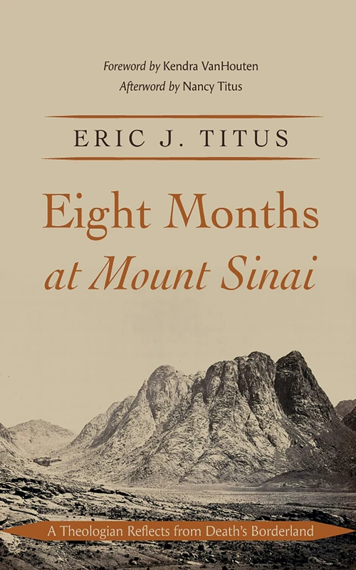 Cover of Eight Months at Mount Sinai