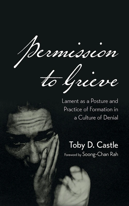 Cover of Permission to Grieve