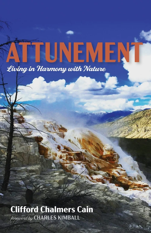 Cover of Attunement