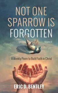 Cover of Not One Sparrow is Forgotten, Volume II