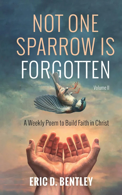 Cover of Not One Sparrow is Forgotten, Volume II