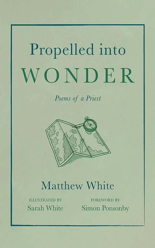 Cover of Propelled into Wonder