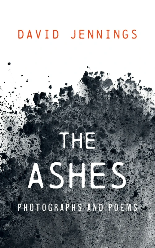 Cover of The Ashes