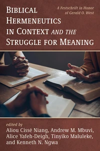 Cover of Biblical Hermeneutics in Context and the Struggle for Meaning