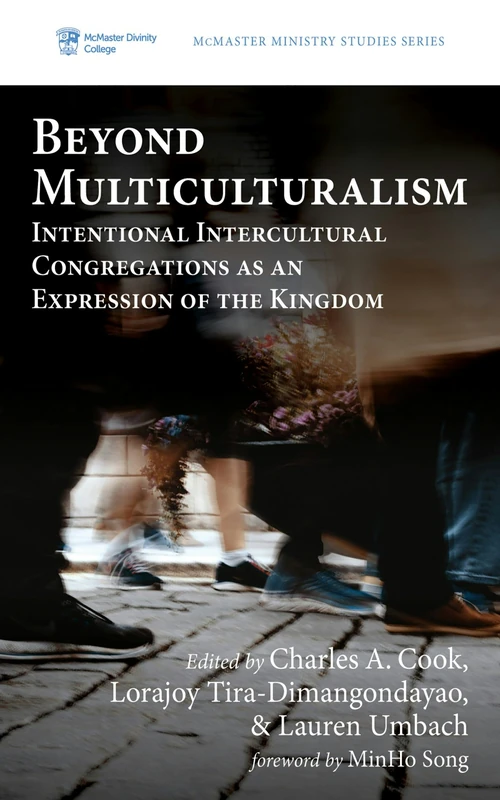 Cover of Beyond Multiculturalism