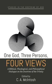 Cover of One God, Three Persons, Four Views
