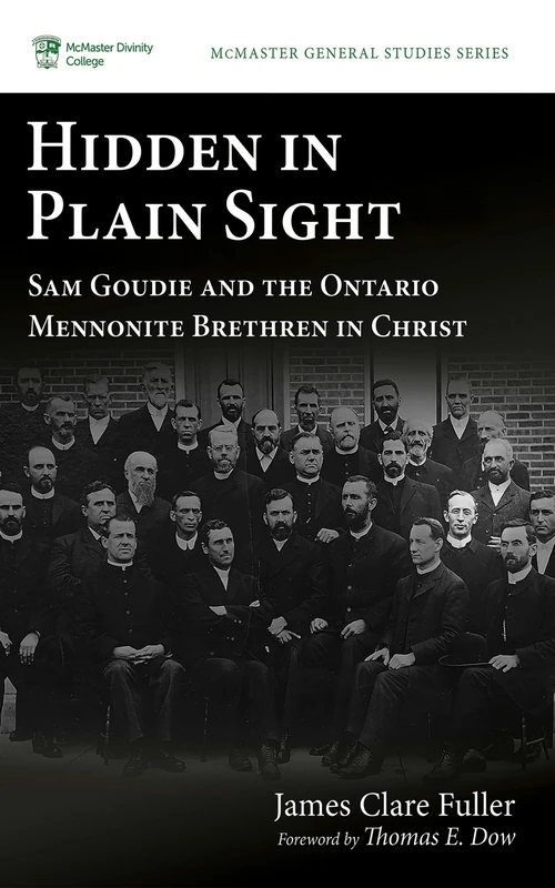 Cover of Hidden in Plain Sight