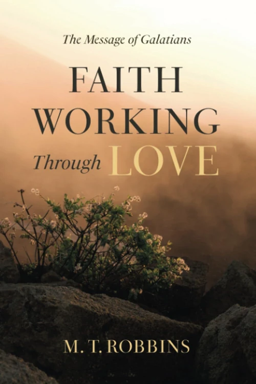 Cover of Faith Working Through Love