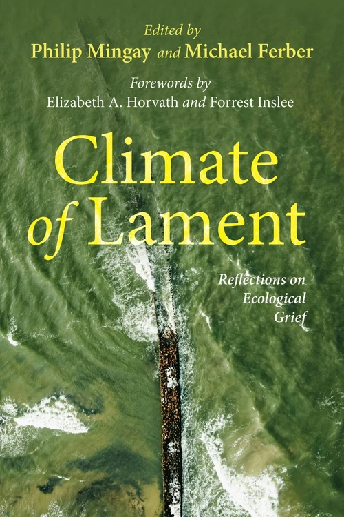 Cover of Climate of Lament
