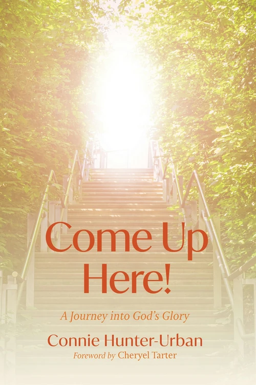 Cover of Come Up Here!