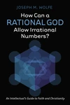 Cover of How Can a Rational God Allow Irrational Numbers?