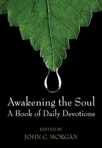 Cover of Awakening the Soul