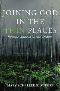 Cover of Joining God in the Thin Places
