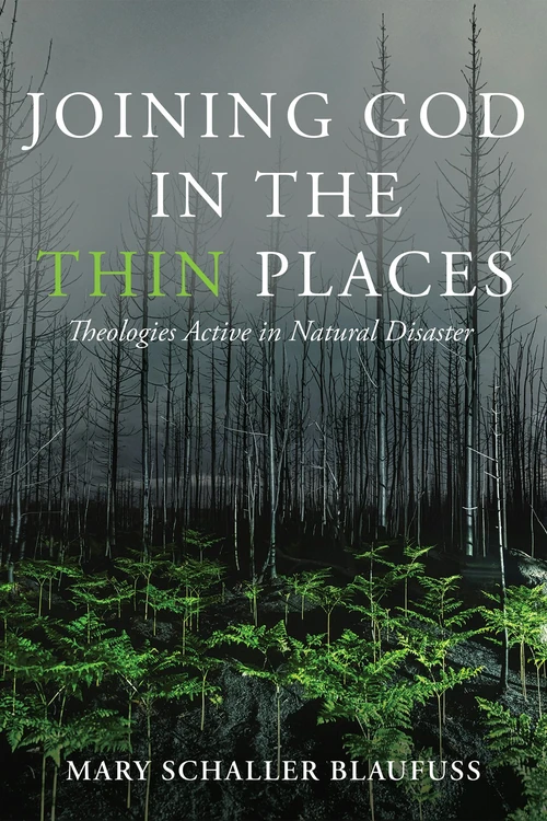 Cover of Joining God in the Thin Places